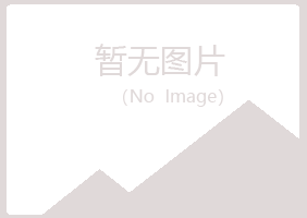 阳曲县紫山化学有限公司